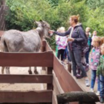 Wycieczka do Ogrodu Zoobotanicznego w Toruniu