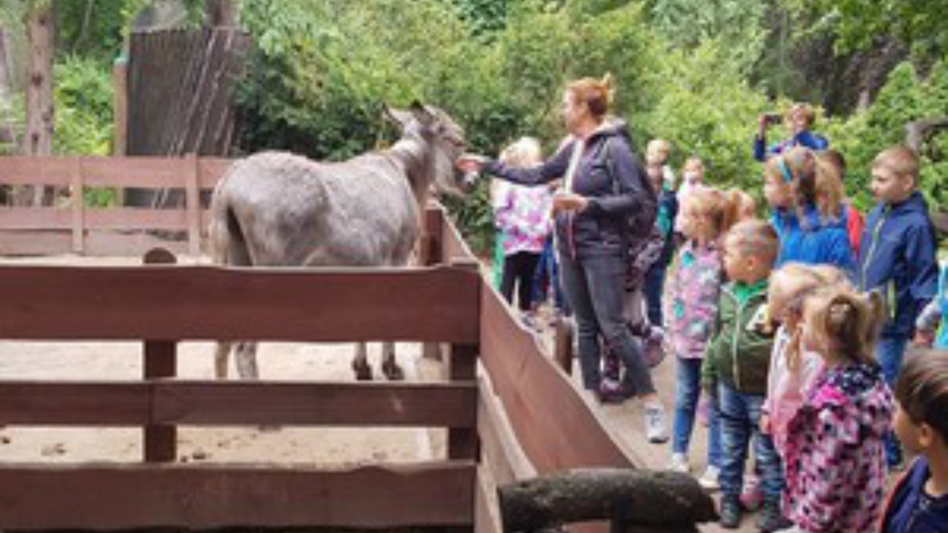 Wycieczka do Ogrodu Zoobotanicznego w Toruniu