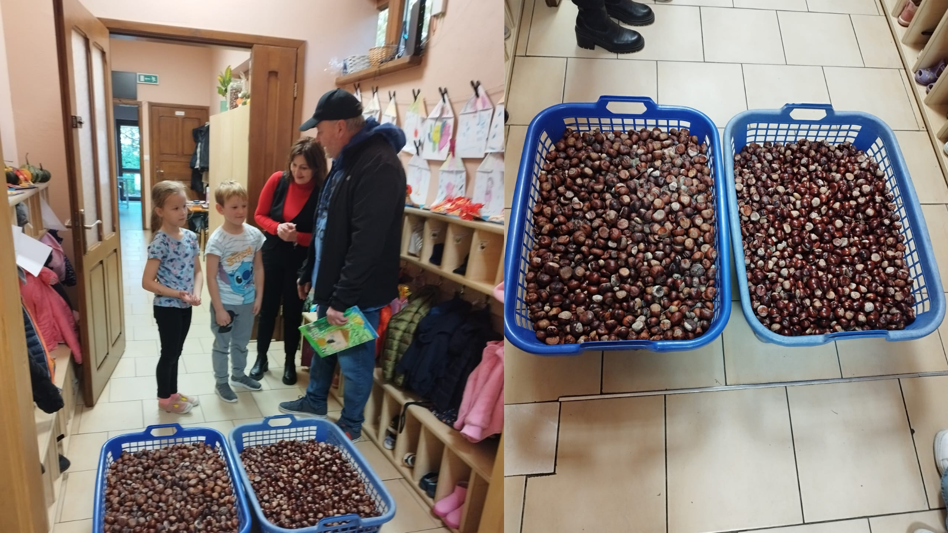 Zbiórka kasztanów i żołędzi na rzecz zwierząt leśnych w naszym Przedszkolu.