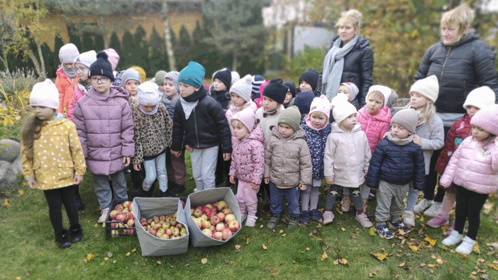 Zbieramy jabłka